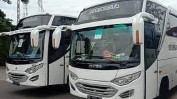 Sejarah Perkembangan Bus di Indonesia